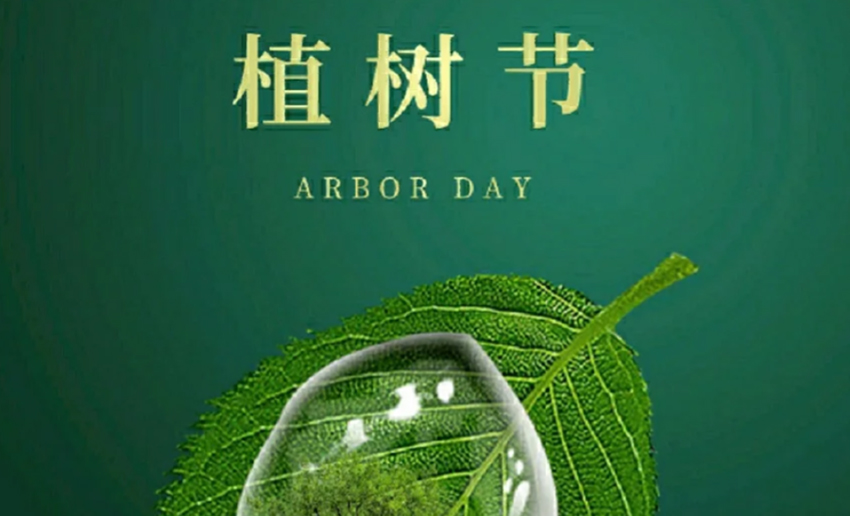 福天辊筒丨植树节，播种希望，承载梦想